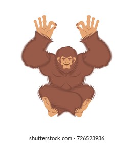 Bigfoot yoga. Yeti yogi. Abominable snowman relaxation and cognition. Vector illustration
