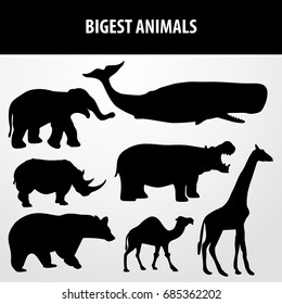 biggest animals silhouette icon set. vector sign symbol on white background