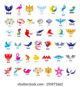 biggest collection of vector icons birds 