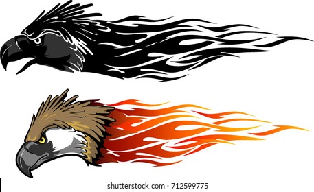 Biggest Eagle: Abstract Flame Trail Variation
