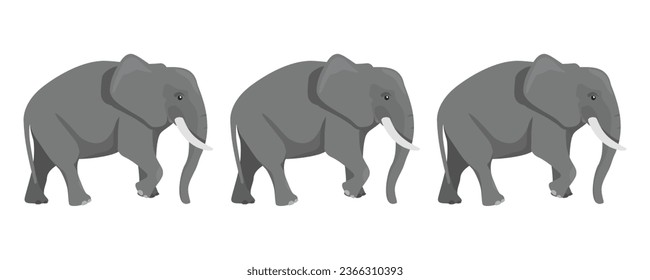 Biggest earth mammal animal. Family of three African, Asian elephants isolated on white background. Elefant herd. Vector illustration. svg