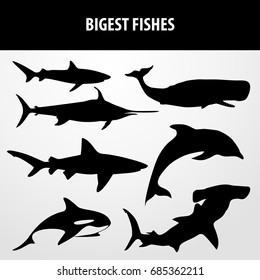 biggest fishes silhouette icon set. vector sign symbol on white background