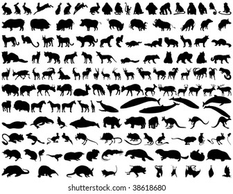 Biggest Set of  Animals Silhouettes in Different Poses. Zoo, Wildlife. Almost Each Kind of Fauna.  High Detail, Very Smooth. Vector Illustration. 