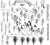 the biggest set of different drawing trees, winter,deciduous, conifers, old, pines, with roots, hand drawn vector illustration