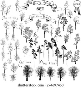 the biggest set of different drawing trees, winter,deciduous, conifers, old, pines, with roots, hand drawn vector illustration