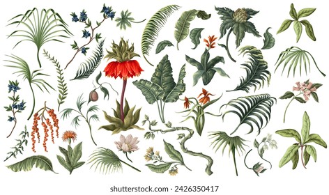 Biggest set of tropical leaves, flowers and berries. Vector