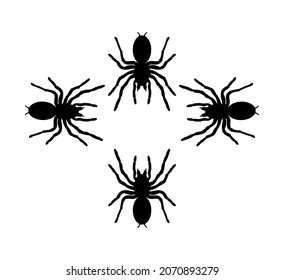 Biggest spider symbol. Set of tarantula vector silhouette illustration isolated on white background. Arachnophobia, nightmare.