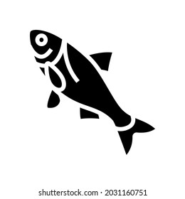 bighead carp glyph icon vector. bighead carp sign. isolated contour symbol black illustration