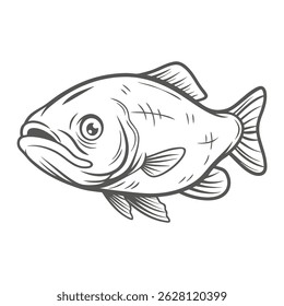 Bighead Carp Line Art Illustration