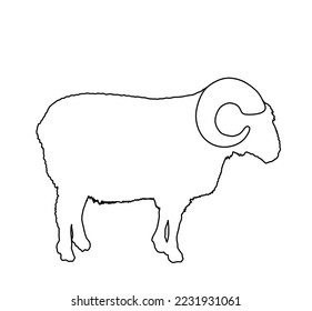 Bighorn-Stamm-Linie Kontur Vektorgrafik Silhouette Illustration einzeln auf weißem Hintergrund. Lammfleisch. Metzgerei-Vorlage für handwerkliche Lebensmittelverpackung oder Restaurantdesign. Symbol für Haustiere. Ram Form.