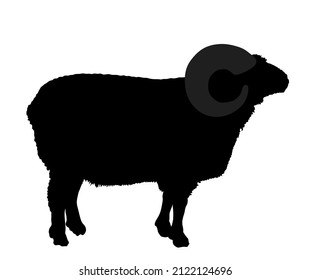 Ilustración de silueta vectorial de carnero bighorn aislada en fondo blanco. Carne de cordero. Plantilla de carnicería para embalaje de comida artesanal o diseño de restaurante. Símbolo animal doméstico.