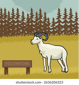 Bighorn Sheep 1 está em Yellowstone