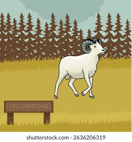 Bighorn Sheep 2 is in Yellowstone