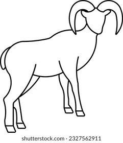 bighorn sheep sheep goat chamois mouflon Outline