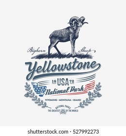 Bighorn Sheep, national Park Yellowstone, blue, illustration, vector