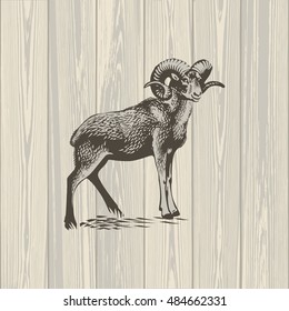 Bighorn sheep on wooden background, illustration, vector 