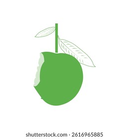 bight green mango illustration vector green mango cut mango.