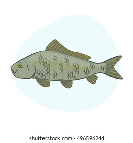 2,905 Buffalo Fish Images, Stock Photos & Vectors | Shutterstock