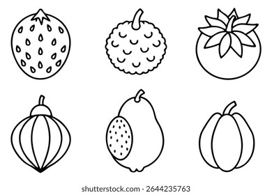 bignay line art beautiful tropical fruit tree outline botanical nature art.eps
