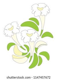BIGNONIACEAE Dolichandrone serrulata  