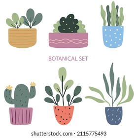 Bigset with hand drawn house plant, flowers in pot, green foliage plant and romantic watering can. Template for web, card, poster, sticker, banner. Vector floral hand drawn