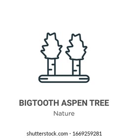 Bigtooth aspen tree outline vector icon. Thin line black bigtooth aspen tree icon, flat vector simple element illustration from editable nature concept isolated stroke on white background