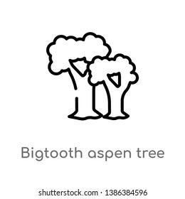 bigtooth aspen tree vector line icon. Simple element illustration. bigtooth aspen tree outline icon from nature concept. Can be used for web and mobile