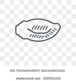biju janata dal icon. Trendy flat vector biju janata dal icon on transparent background from india collection. High quality filled biju janata dal symbol use for web and mobile