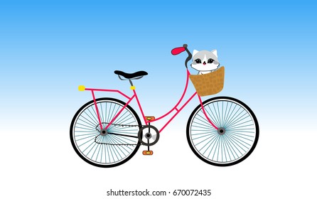 bike and cats