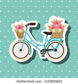 bike repair and shop