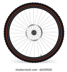 Bike wheel - vector illustration on white background. EPS 8