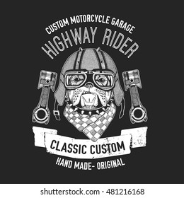 Biker quote with dog for garage, service, t-shirt, spare parts Vector image