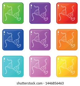 Bikini top icons set 9 color collection isolated on white for any design