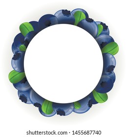 Bilberry circle concept background. Cartoon illustration of bilberry circle vector concept background for web design