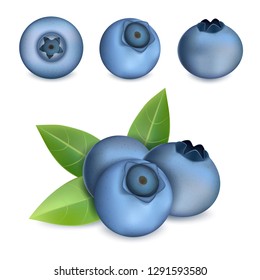 Bilberry icons set. Realistic set of bilberry vector icons for web design isolated on white background