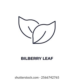 bilberry leaf outline icon. Linear vector from nature concept. Thin line bilberry leaf icon isolated on white background