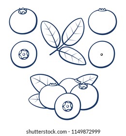 Bilberry. Outline berries of blueberries with leaves on a white background. Set of icons. Vector illustration.