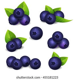 Bilberry set with leaves