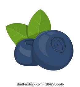 Bilberry vector isolated. Raw organic product, blue berry and green leaf. Organic, natural nutrition. Summer plant.