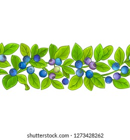 bilberry vector pattern