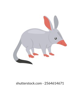 Bilby Australian Symbol Vector Illustration