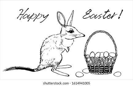 Bilby with easter basket with eggs sketch vector template. Rabbit eared bandicoot concept design with hand drawn character. Aussie bunny print with Happy Easter text