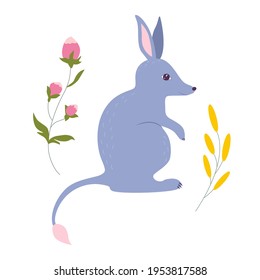 Bilby with flowers cartoon vector illustration. Australian cute marsupial animal. Easter aussie nature bunny bandicoot