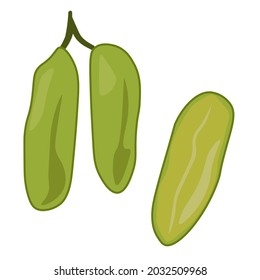 bilimbi whole and cut fruit, juicy cucumber fruit tree vector illustration