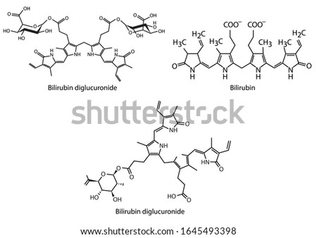 Bilirubin glucuronide is a water-soluble reaction intermediate over the process of conjugation of indirect bilirubin,chemical structure of Bilirubin diglucuronide