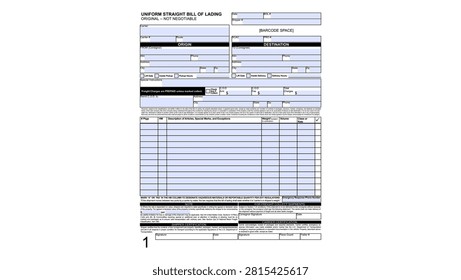 Bill of Lading (BOL), color vector illustration