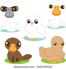 Bills and beaks. Platypus, chicken, swans and owl.