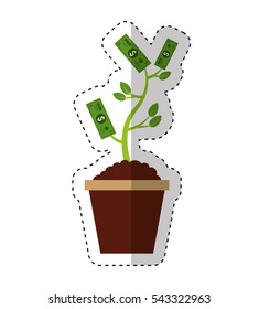 bills plant isolated icon vector illustration design