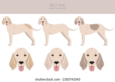 Billy dog clipart. Different coat colors and poses set.  Vector illustration