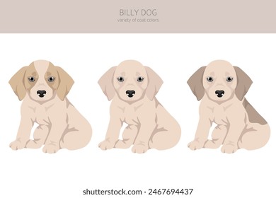 Billy dog puppy clipart. Different coat colors and poses set.  Vector illustration